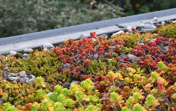 the cost of Spooner Row green roof installation