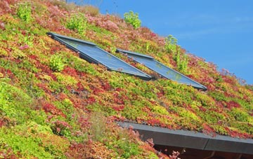 Spooner Row living roof systems
