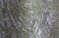 Spooner Row fibreglass roof work